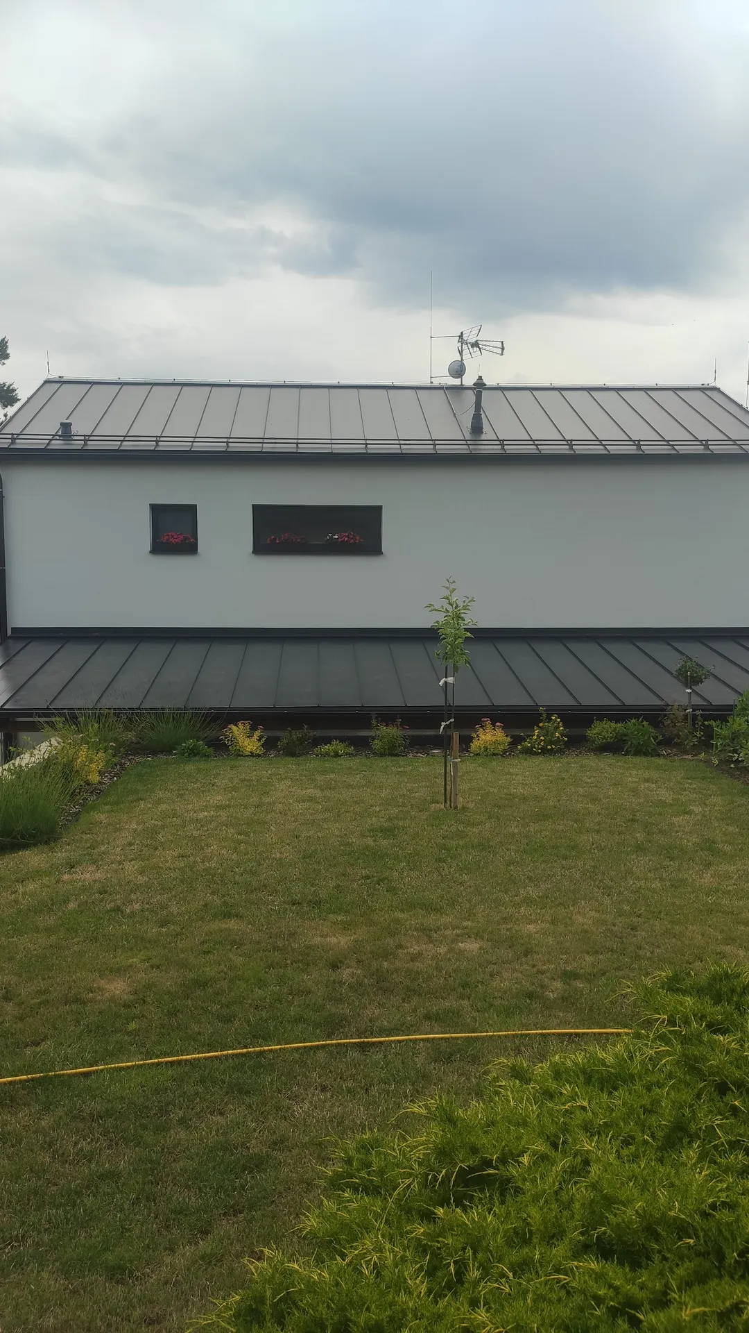Dům s šedou falcovanou plechovou střechou pohledem ze zahrady